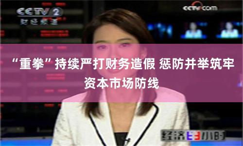 “重拳”持续严打财务造假 惩防并举筑牢资本市场防线