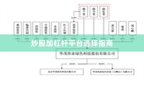 炒股加杠杆平台选择指南